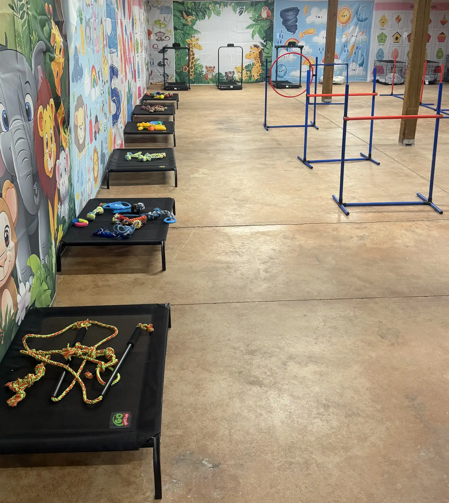 Large indoor play area with agility equipment