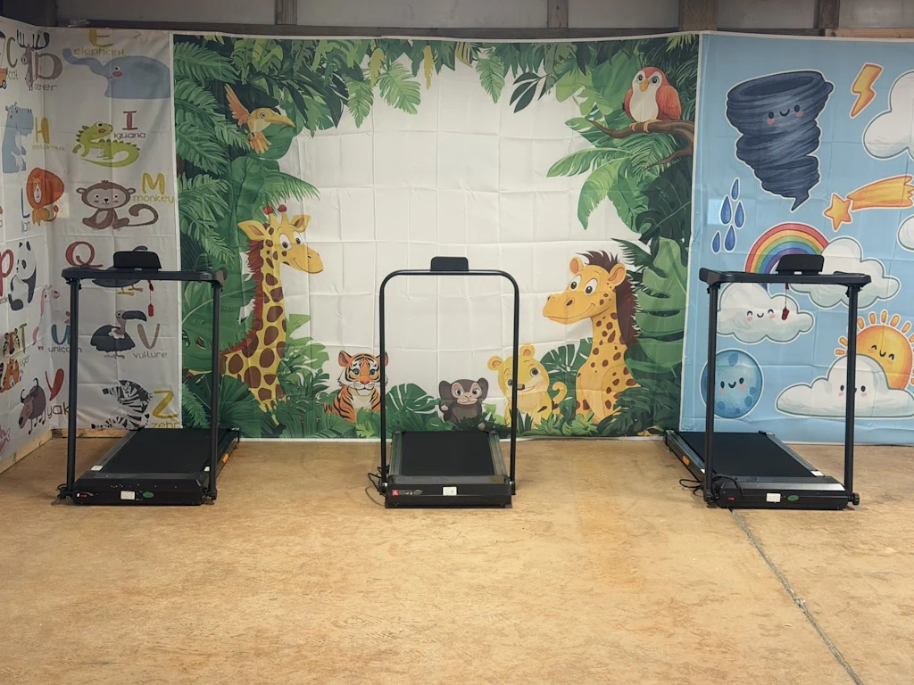 Dog treadmill for exercise